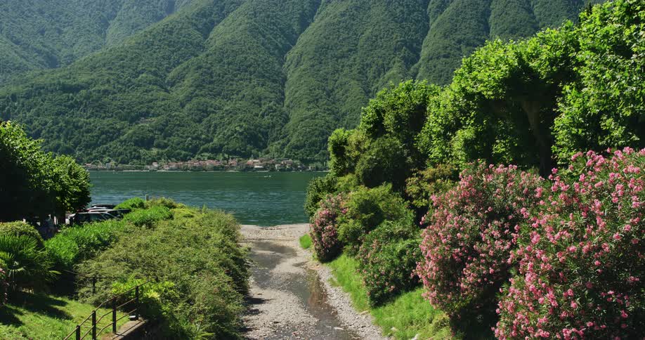 Dirt road surrounded by lush green flowering trees leading to a lake in the mountains