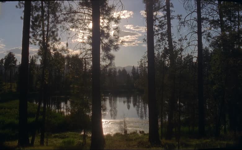 A view of a lake through the trees shot on 16mm film
