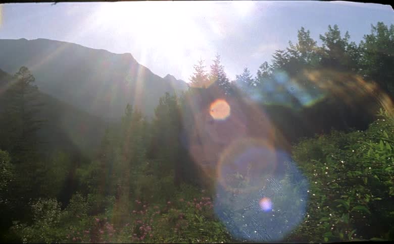 Bright sunlight lens flare shines down on a forest near a mountain range shot on 16mm film