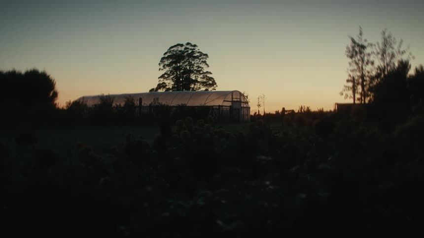 A rural greenhouse at dusk
