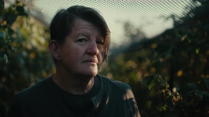 Farmer standing between the rows of crops under a net in the morning looking at the camera