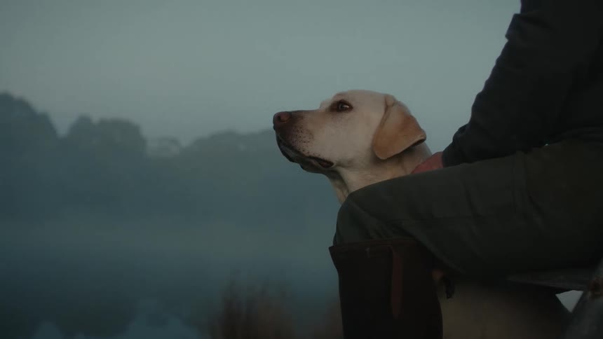 A man pets a dog while sitting leisurely outdoors on a foggy evening