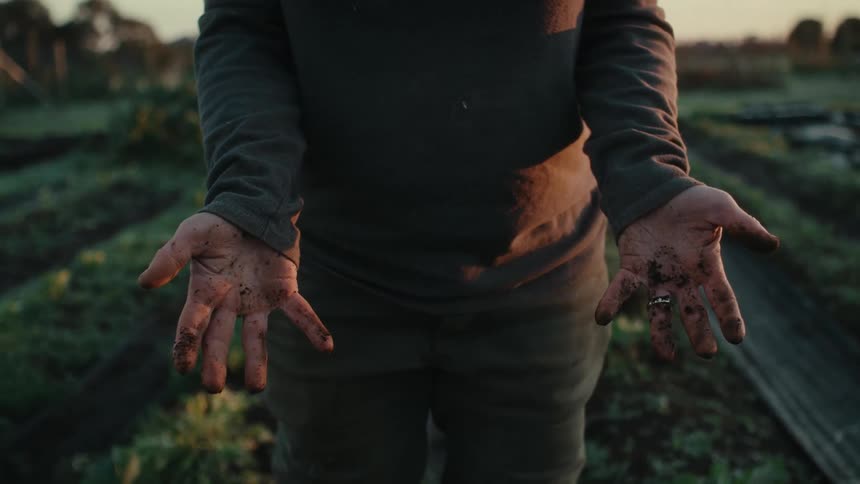 Gardener standing near rows of garden plants shows her dirty hands