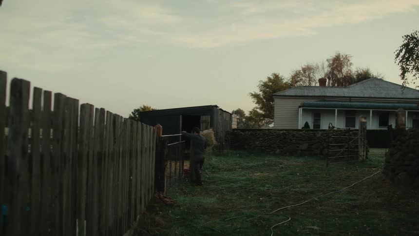 Farmer carrying a small bale of hay enters a corral through a wooden fence at morning