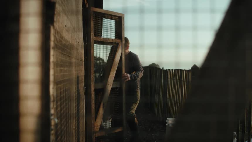 Farmer opens the chicken coops on a farm in the morning