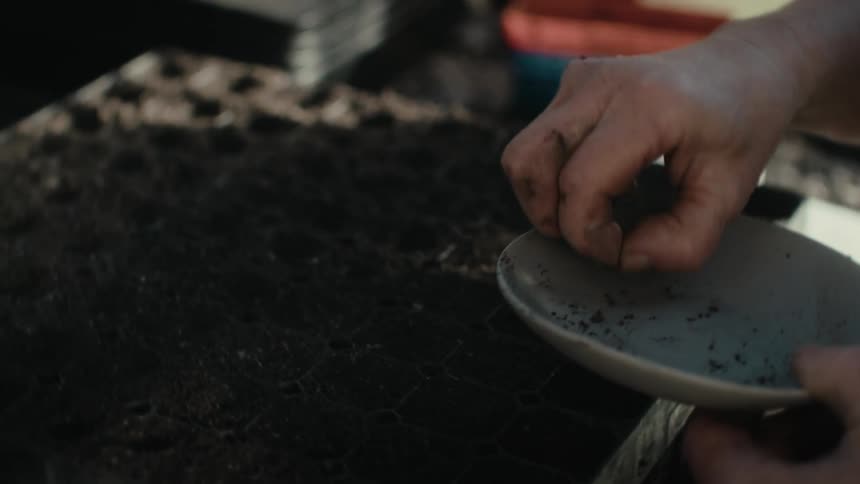 A gardener planting seeds in soil containers