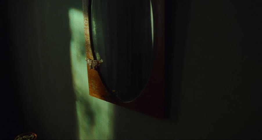 The wings of a big brown moth move as it sits on the frame of a mirror on the wall