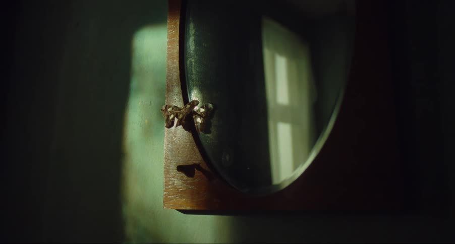 Small brown butterflies resting on a mirror inside a dimly lit room