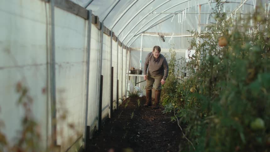 A woman tending to tomatoes and produce in a greenhouse