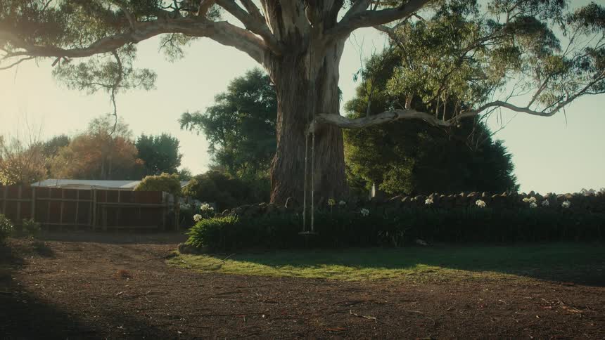 A tree swing hanging from a large tree during the day