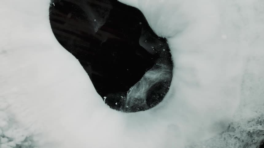 White floating ink shaped like an iris erupting and contracting over a dark background