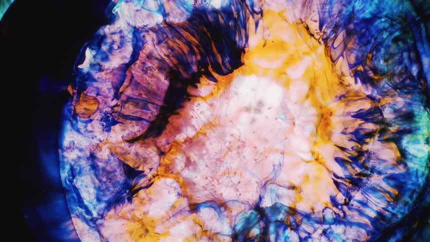 A round burst of psychedelic colors push into a dark area moving and blending as it expands