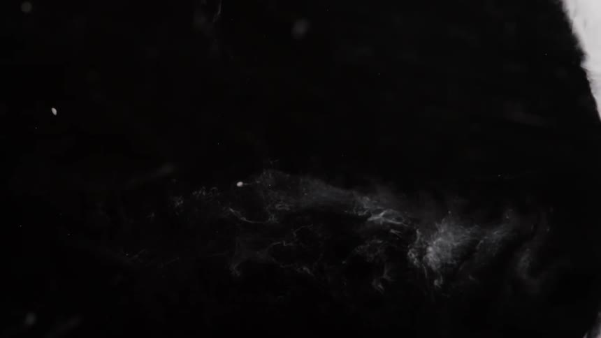 Thin gauzy mixtures expand and then constrict