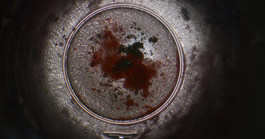 An orb is filled with moving organic black substance over red blobs and as they spin