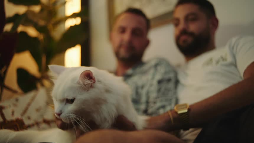 Two men sit on a couch together cuddling and pet a cat