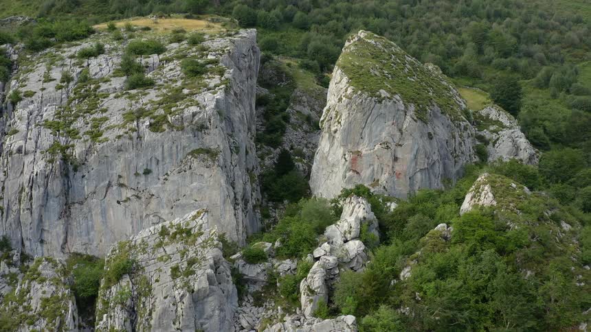 Stack rock formations stand tall above the trees