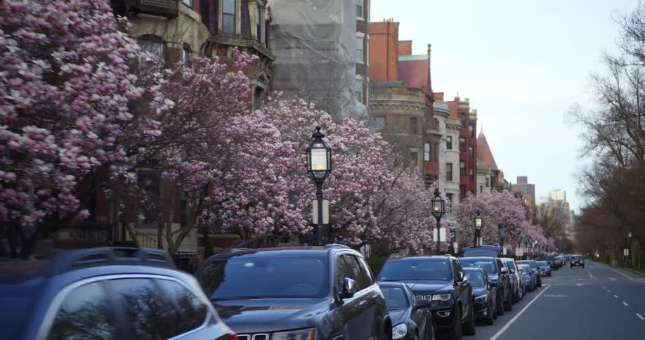 The street is full of parked cars