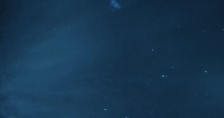 Air bubbles form on the surface of a pool