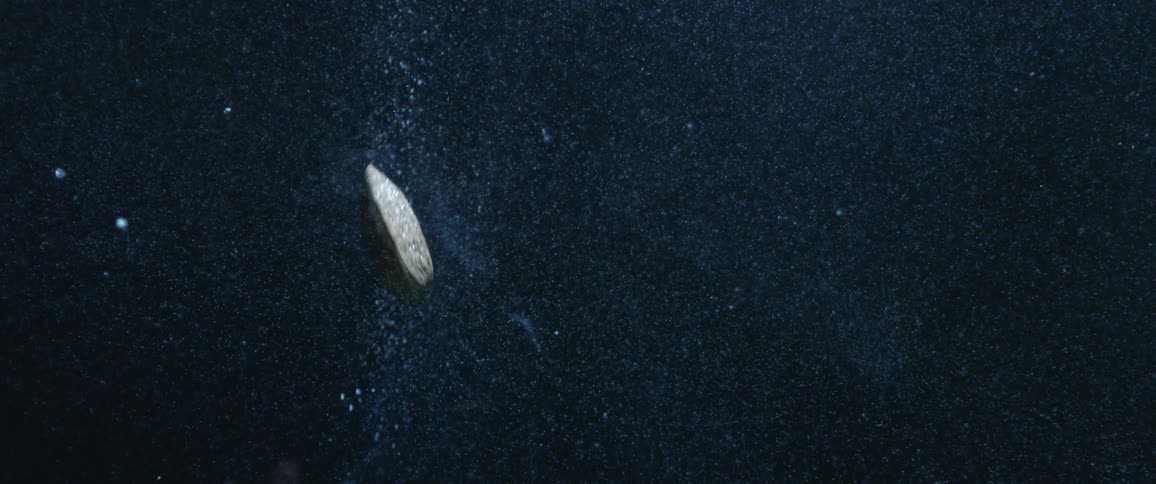 A closed clam shell floats and falls through water where bubbles are rising up