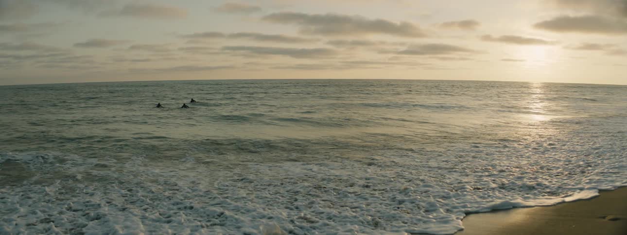 Surfers paddle on surfboards while the waves are breaking against the shore at sunset