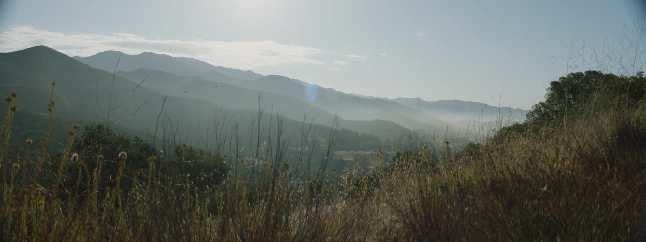 A landscape view of grass in front of hills with birds flying