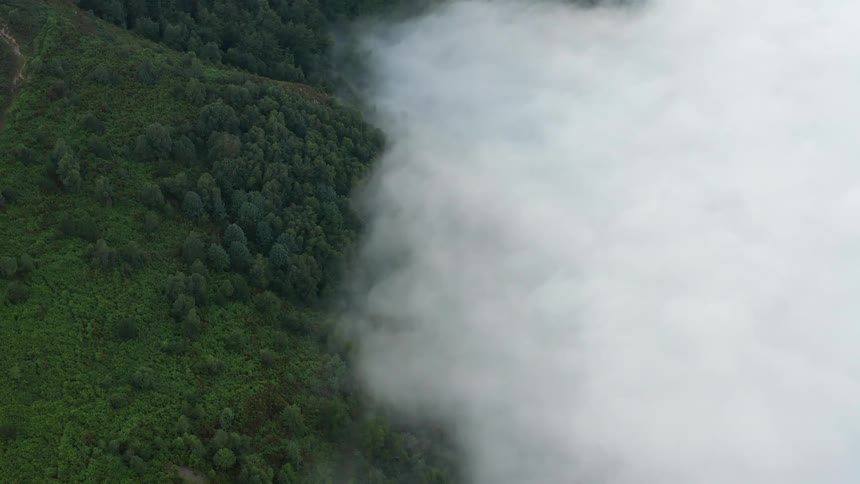 Clouds hide one half of a lush green forest in Northern Spain