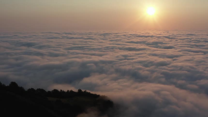 Sun shines over thick low lying clouds surrounding forest