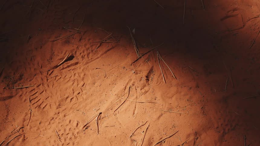 Thin wooden sticks over the sand filled with boot and tire tracks