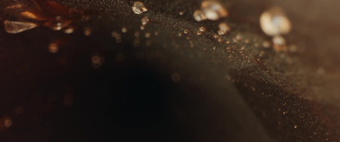 A view of water drops in slow motion