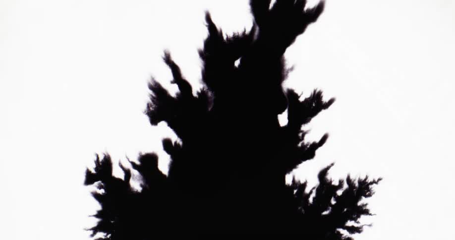 An inkblot spreads out in small forked patterns