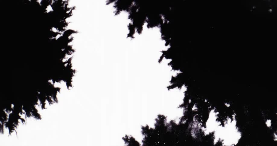 A black substance grows and splats from the edges and spreads covering the white background