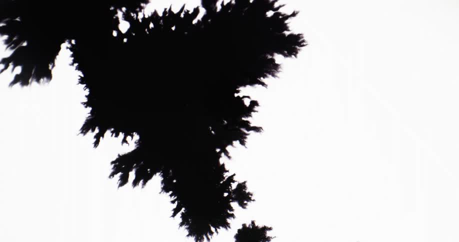 Splotches and stains of dark black ink spreading over a white background