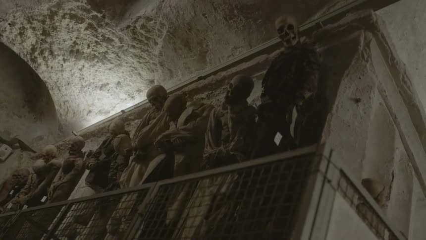 A crypt is full of corpses