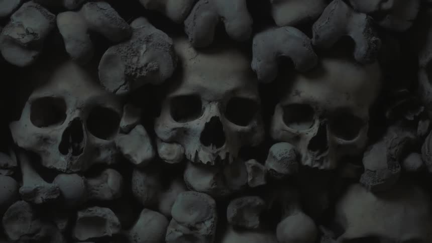 Skulls and bones arranged in a pile