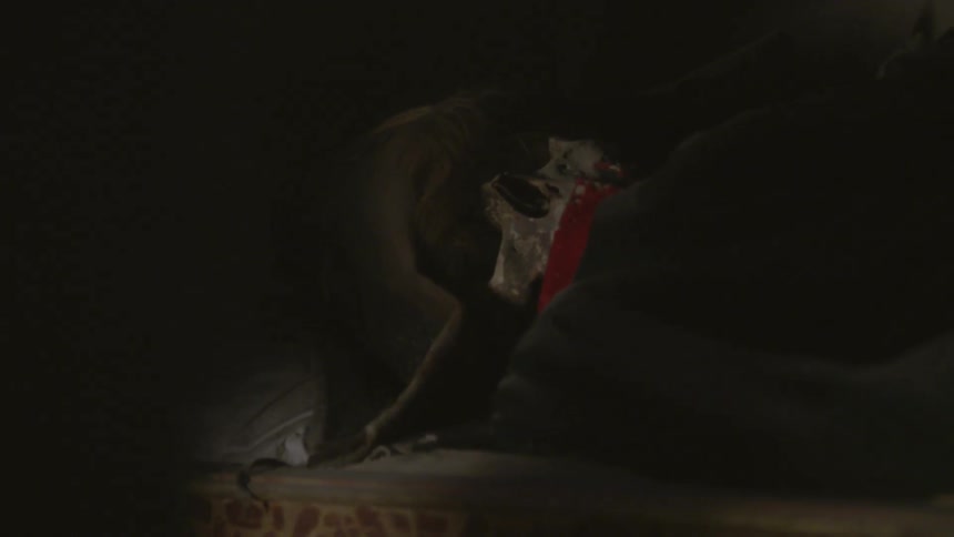 A skeleton sits in a dark crypt