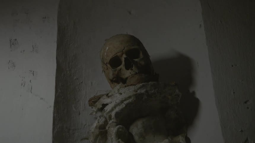 A skull sits on a large white rock