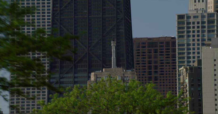 Street level trees frame skyscrapers in chicagos downtown