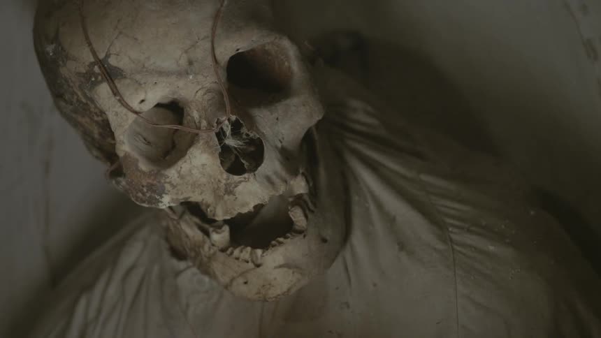 Light shining on a skull