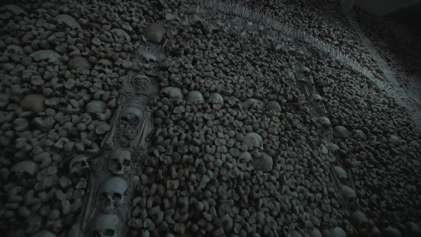 Skulls and bones form a wall on the interior of a building