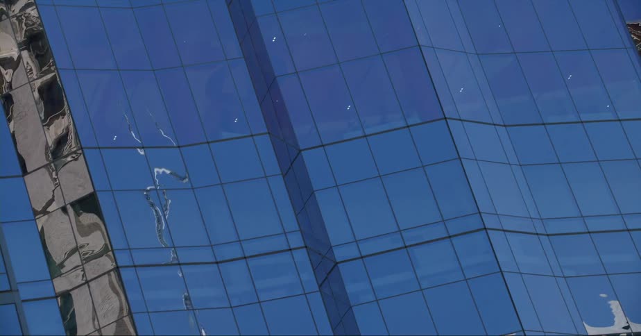 A bird flying past a glass high rise office building