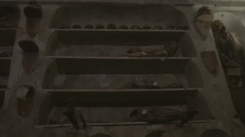 A crypt has many skulls and bones on shelves