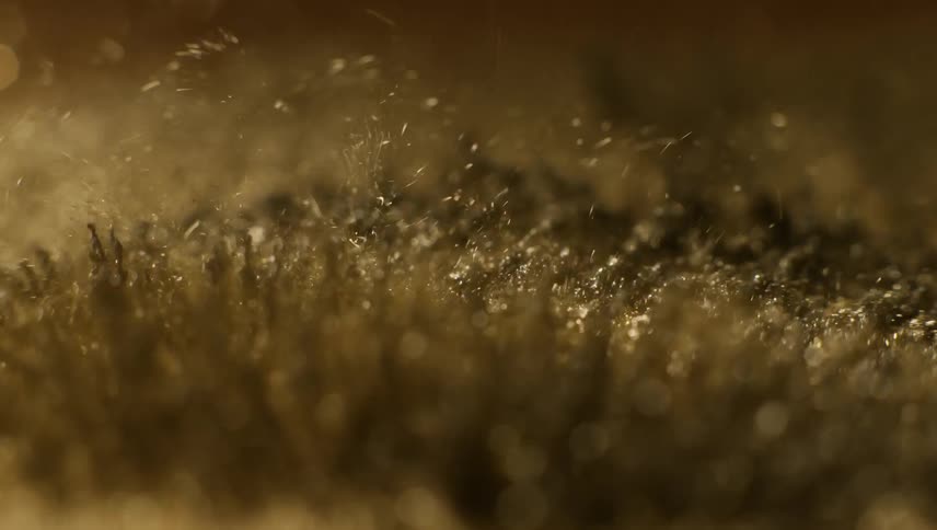 Time lapse of soil moving
