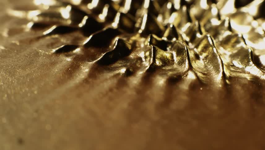 Golden grains rise up in peaks and ridges with vibration then subside