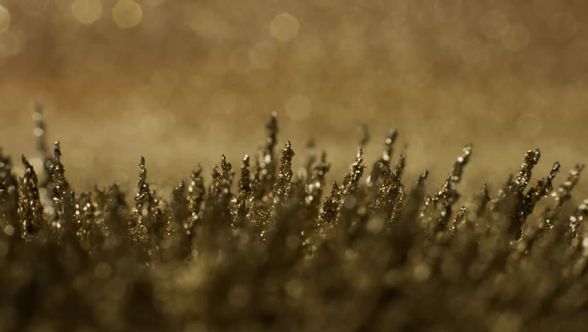 Time lapse of soil with vegetation sprouting up