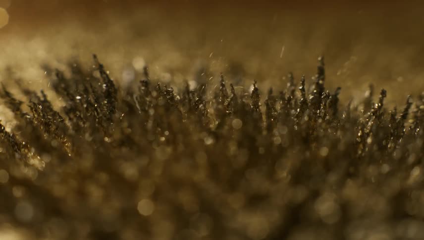 Spikes and shards of rough particles stand as they emerge from a gold substance