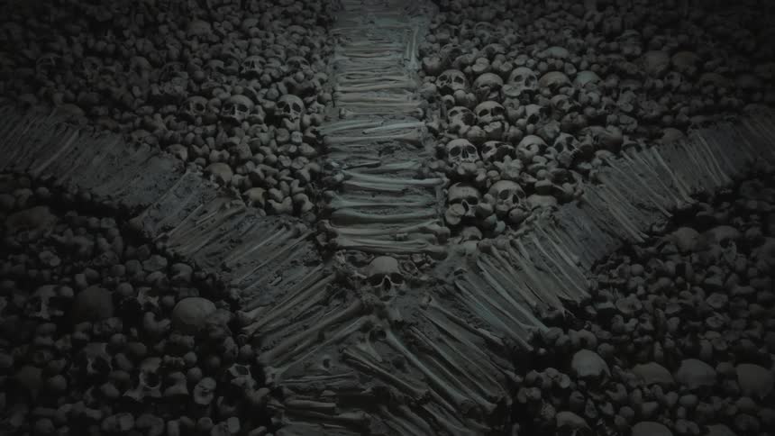 Rows of skulls and bones are laying together