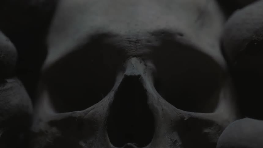 A skull has empty eye and nose sockets