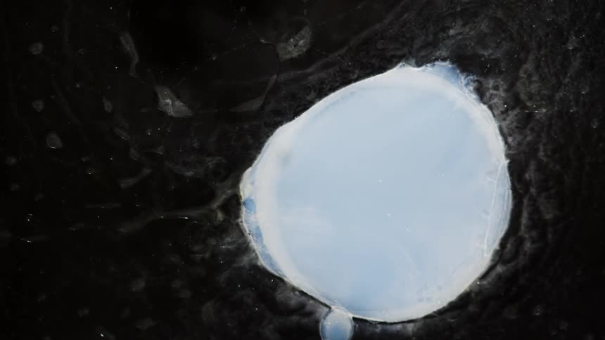 A round shaped light blue organic objects emits a cloud like substance in the darkness as it moves