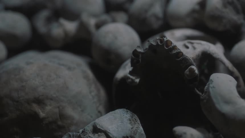 A pile of skulls
