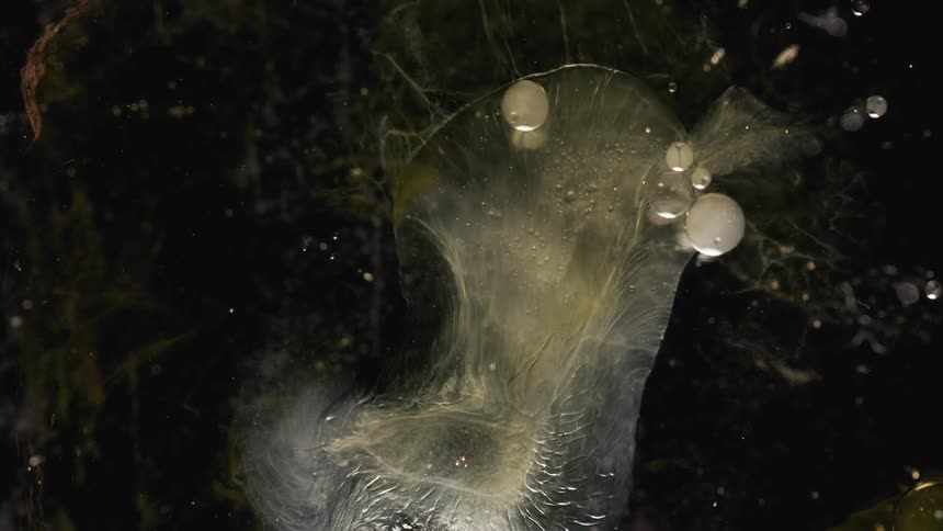 Abstract footage of flowing liquid and bubbles